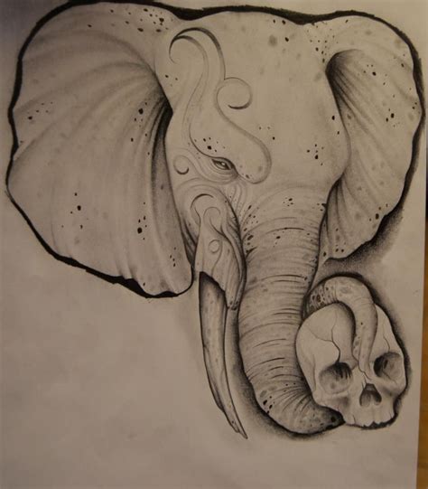 Pin by Thomas Dunham on Drawing | Elephant drawing, Pencil drawings tumblr, Human skull drawing