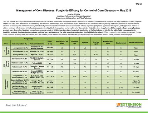 Foliar Diseases and Fungicide Applications in Corn - UT Crops News