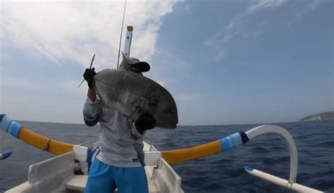 Pancing Ikan Laut Dalam / 9 Teknik Mancing Di Laut Bagi Pemula - Erling ...