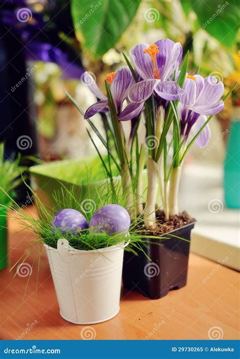 Flowers and Easter eggs stock image. Image of gardening - 29730265