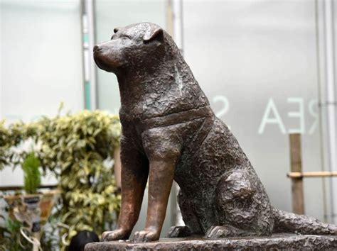 The Hachiko Statue, Shibuya - and Where Else to Find Japan's Most Loyal ...