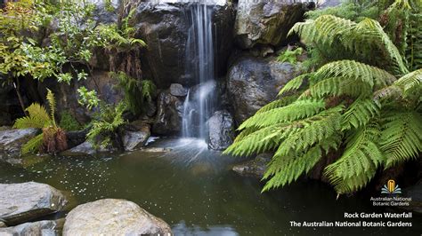 Parks Australia Zoom backgrounds | Parks Australia