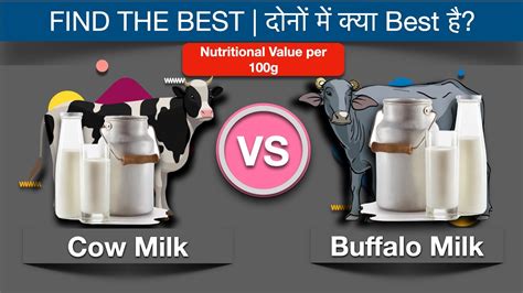 Cow Milk Vs Buffalo Milk: Find The Best l गाय का दूध या फिर भैंस का दूध - क्या Best है - YouTube