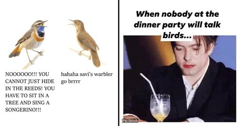 Memebase - birding-jokes - All Your Memes In Our Base - Funny Memes - Cheezburger