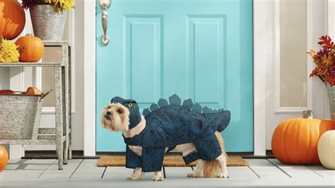 The Best Dog Halloween Costumes from Chewy