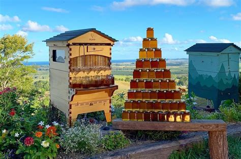 The world’s most innovative beehive makes beekeeping efficient, reduces waste & gets honey on ...