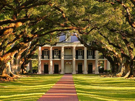 Plantation and Swamp Tours | New Orleans, LA