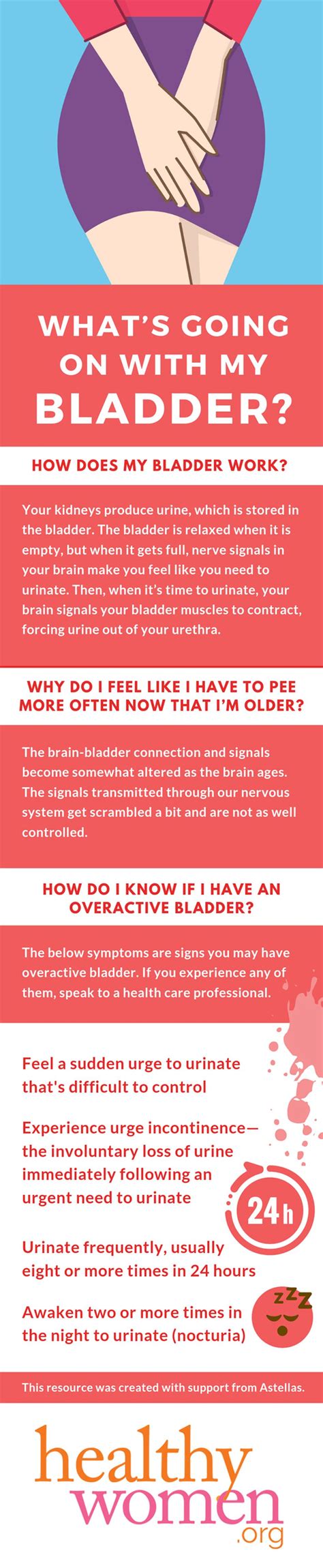 What Causes Overactive Bladder? - HealthyWomen