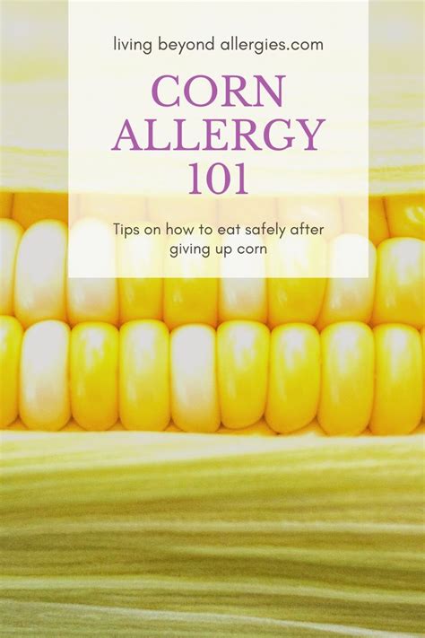 Corn Allergies 101 | Corn allergy, Corn, Allergies