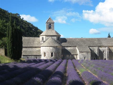 Looking for Lavender in the Luberon Valley - Perfectly Provence ...