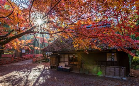 All About’s Guide to Nara | All About Japan