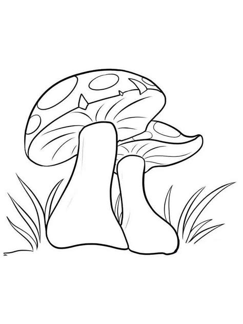 Mushrooms coloring pages. Download and print mushrooms coloring pages