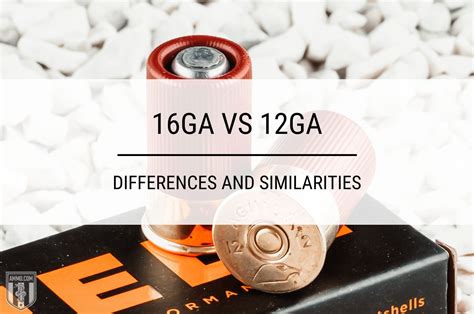 16ga vs 12ga - Shotgun Gauge Comparison by Experts at Ammo.com