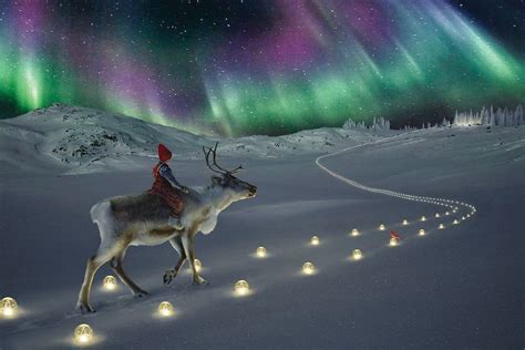 THE REINDEER WISH A PHOTOGRAPHIC FAIRYTALE | Laponia finlandia, Bosque ...