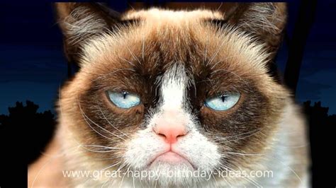 Grumpy Cat Happy Birthday Song | Just for Fun! | Pinterest | Happy birthday songs, Birthday ...