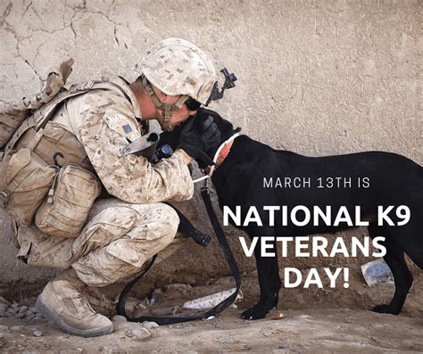 National K9 Veterans Day