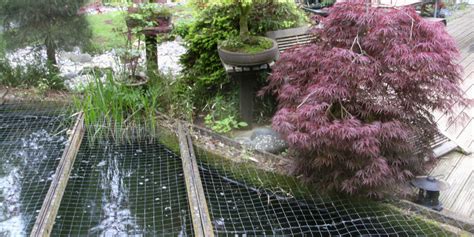 Pond Netting: Why Pond Netting is Important and the Best Type to Buy - Pond Guides | Pond Planet