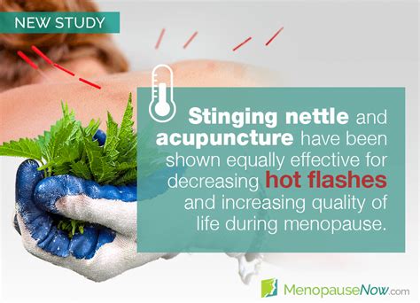 Study: Stinging Nettle and Acupuncture Are Effective for Hot Flashes