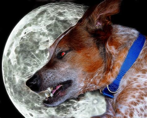 Bark at the Moon by fileboy on DeviantArt