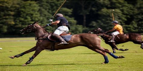 Polo: History, Types, Objective, & Equipment - Sportsmatik