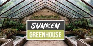 Sunken Greenhouse: The Solution To Plant Year Round - The Tiny Life