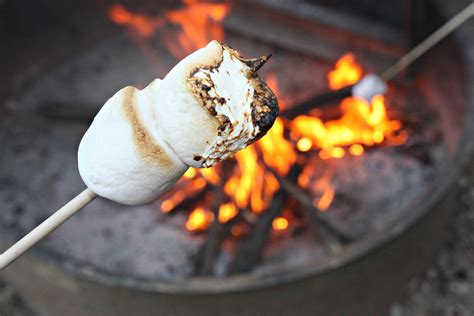 National Toasted Marshmallow Day - Just Brennon Blog