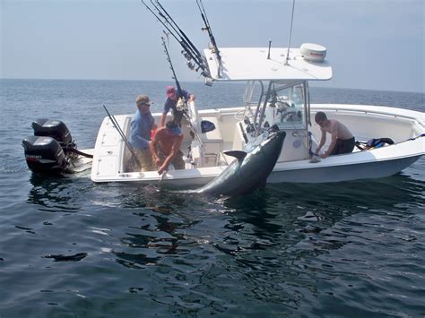 Fishing St Helena Island: Huge Fish