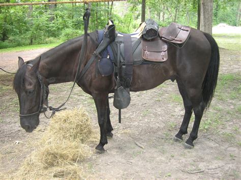 Union Cavalry in Pitzer's Woods | Gettysburg Daily