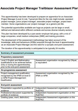 Sample Project Assessment Plan - 14+ IN PDF