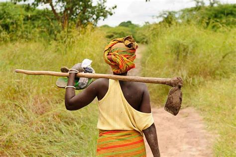 Women farmers join agricultural value chains - Good Governance Africa