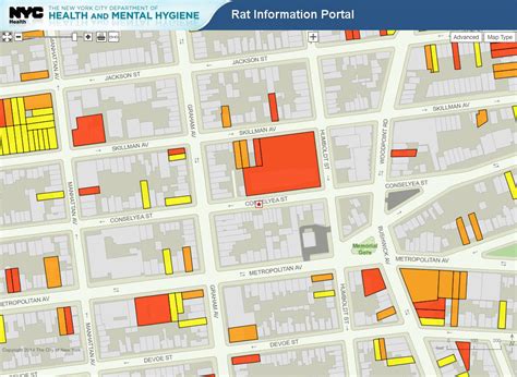 NYC Rat Map - Business Insider