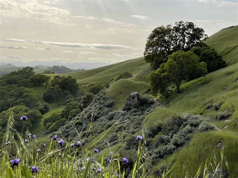 Videos. Trail Maintenance and Restoration Impact. — Mount Diablo Trails ...