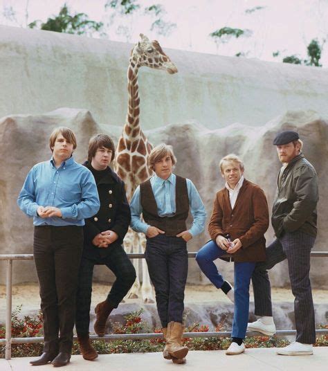 110 Beach Boys 1960s ideas | the beach boys, boys, beach