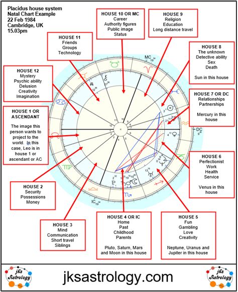 Understanding Natal Chart House Layout | Astrology chart, Birth chart ...