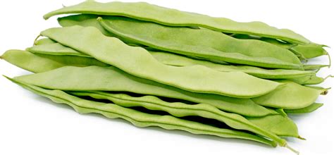 flat green beans name