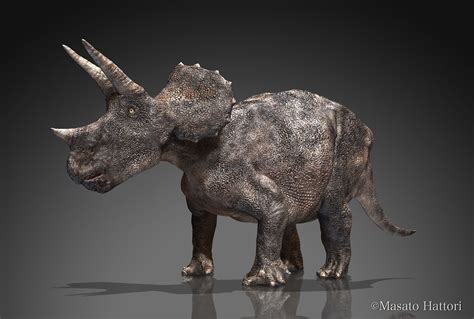 Triceratops | Prehistoric wildlife, Paleo art, Dinosaur art