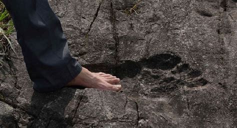 Giant Footprints Found in China Embedded in Rock (Photos & Article Inside)