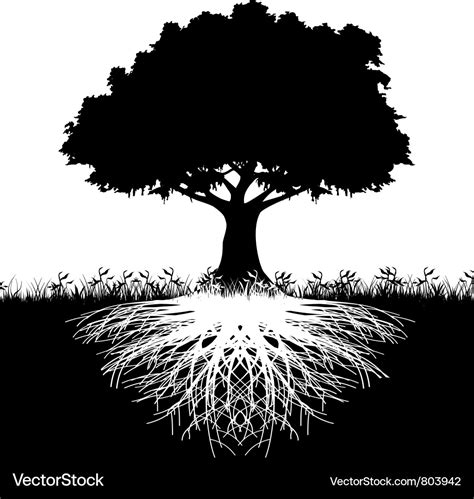 Tree roots silhouette Royalty Free Vector Image