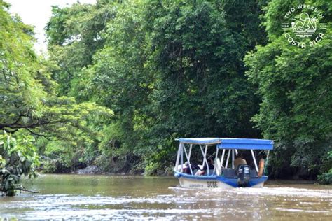 Palo Verde National Park: Boat, Wildlife, and Culture Tour - Two Weeks in Costa Rica