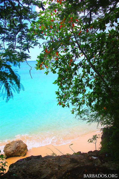 Overlooking the inviting beach on the west coast of Barbados | Barbados ...