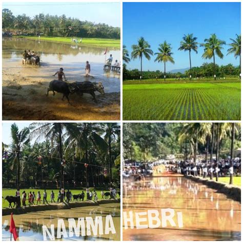 Namma Hebri: Kambala | A Breath taking Sport of Coastal Karnataka...