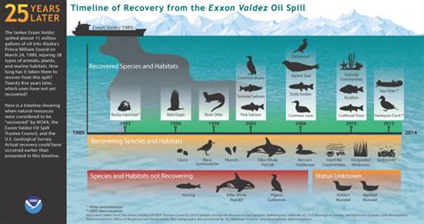 OIL SPILLS