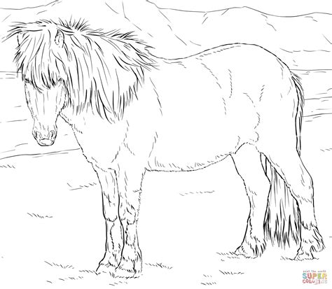 Icelandic Horse coloring page | Free Printable Coloring Pages