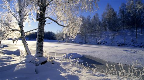 Free Microsoft Wallpaper Winter - WallpaperSafari