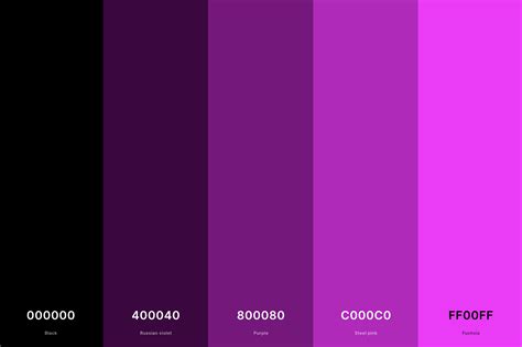 25+ Best Magenta Color Palettes with Names and Hex Codes – CreativeBooster