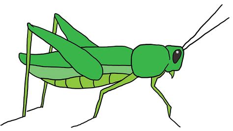 Cricket Insect Clipart | Free download on ClipArtMag