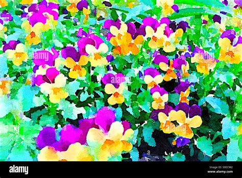 Purple watercolor flowers hi-res stock photography and images - Alamy