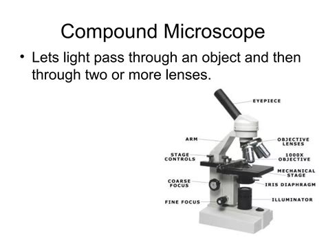 Types of Microscope | PPT