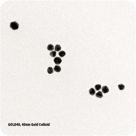 40nm Gold Colloid • Ethos Biosciences