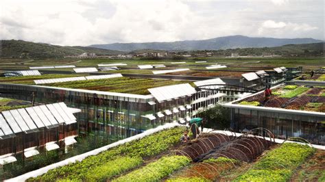 Concept for Rooftop Farming - William McDonough + Partners